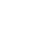 Icon18